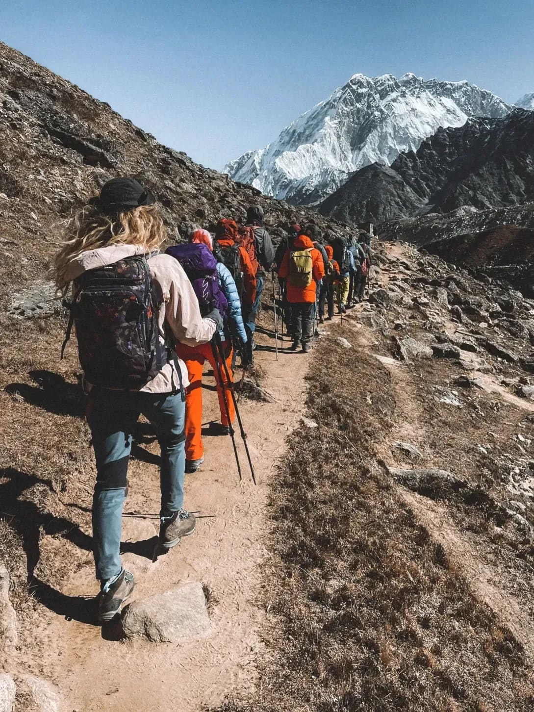 Allibert Trekking