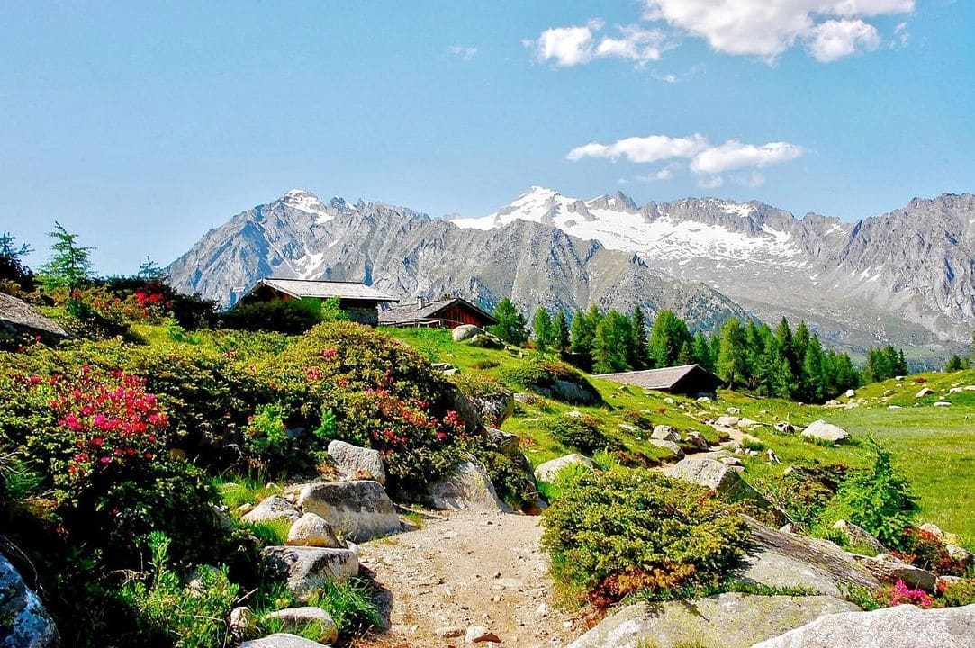 Allibert Trekking 12
