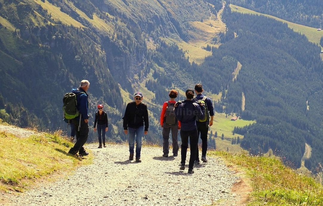 Allibert Trekking 4