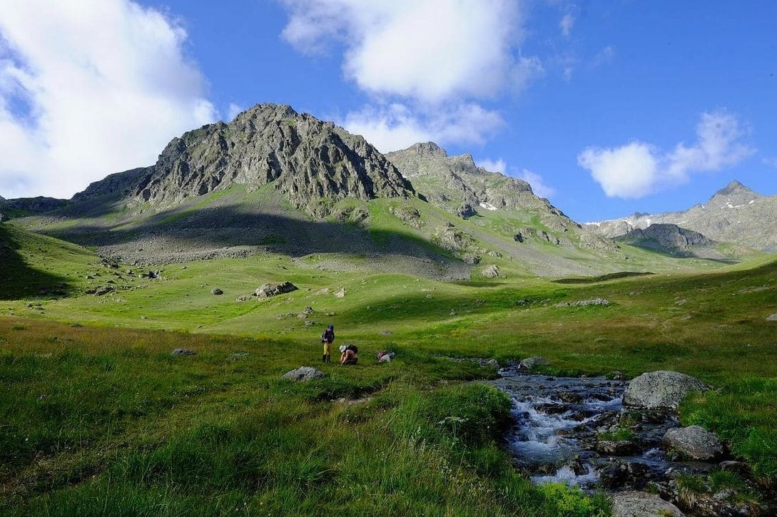 Allibert Trekking 5